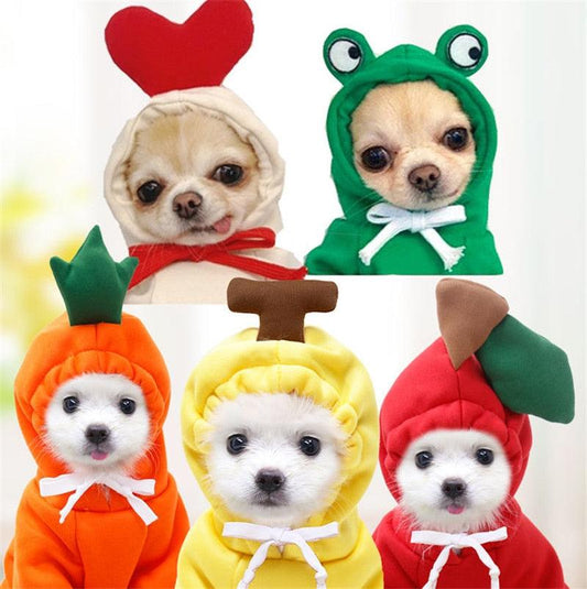 Fruit Pet Coat Hoodies - Puritific