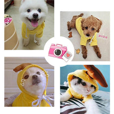 Fruit Pet Coat Hoodies - Puritific