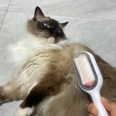 Hair Removal Brushes for Pets - Puritific