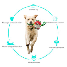 Interactive Dog Toy - Puritific