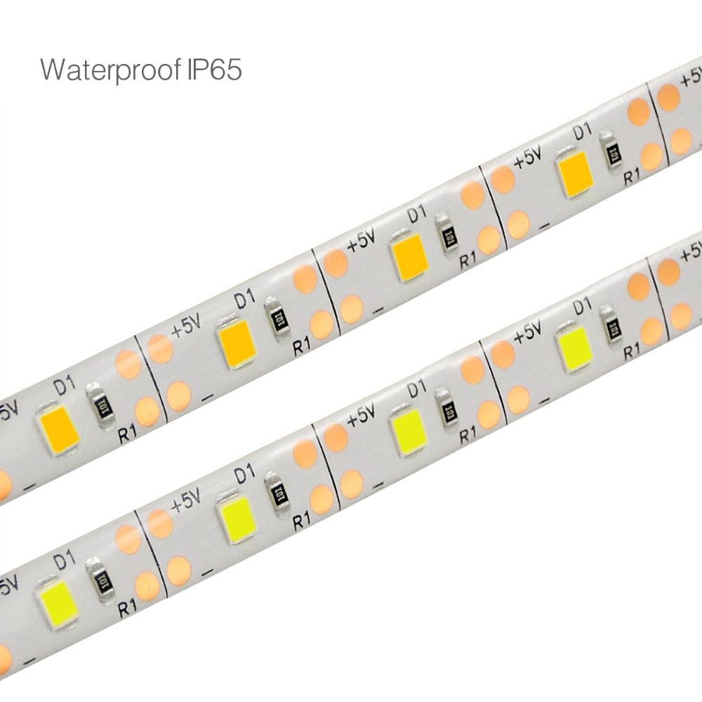 LED Motion Sensor Strip Lights - Puritific