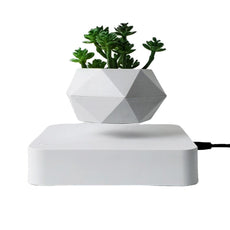 Levitating Air Bonsai Pot - Puritific