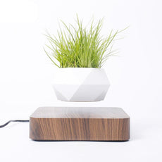 Levitating Air Bonsai Pot - Puritific