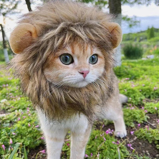 Lion Mane Cat Costume - Puritific