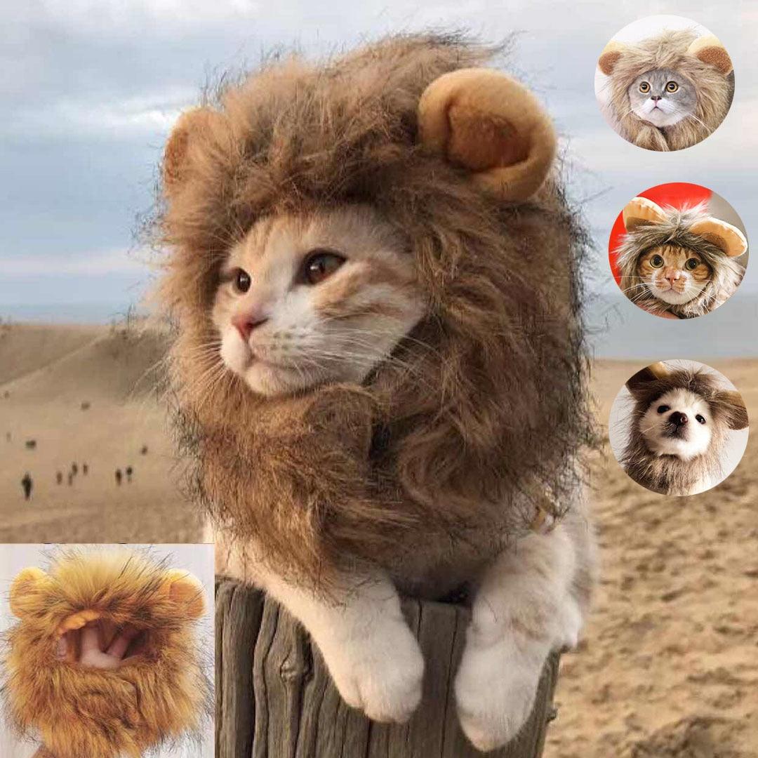 Lion Mane Cat Costume - Puritific