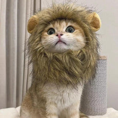 Lion Mane Cat Costume - Puritific