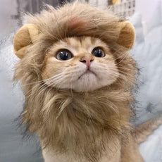 Lion Mane Cat Costume - Puritific