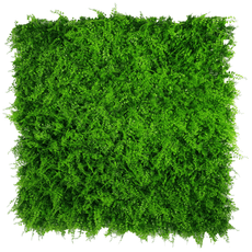 Lush Fern Artificial Green Wall 40