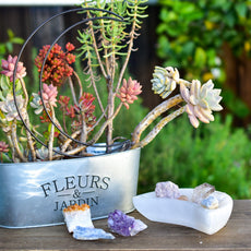 NEW Selenite Moon Bowls - Puritific