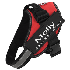 Personalized No-Pul Harness - Puritific