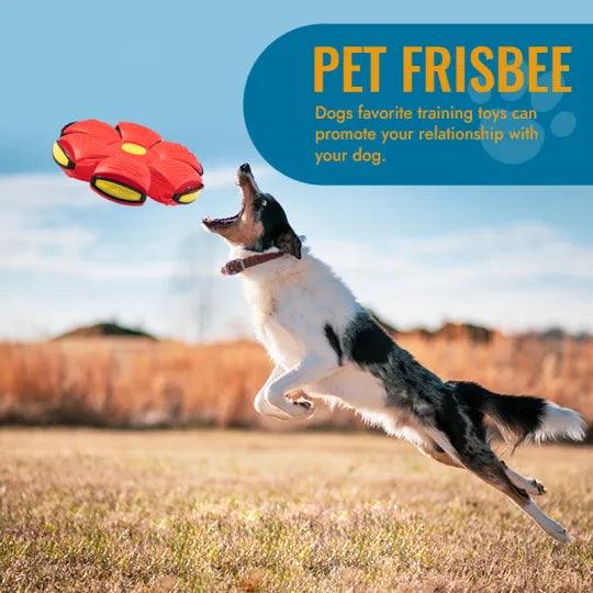 Pet Flying Saucer Ball - Puritific