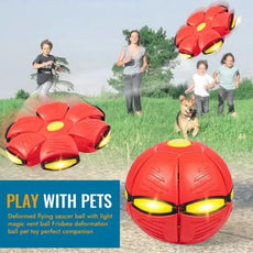 Pet Flying Saucer Ball - Puritific