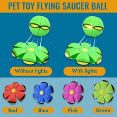 Pet Flying Saucer Ball - Puritific