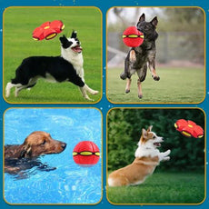 Pet Flying Saucer Ball - Puritific