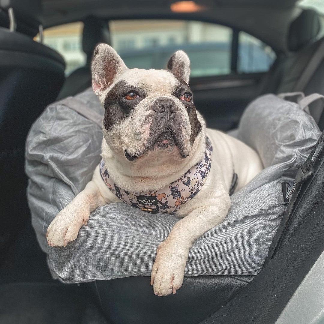 Pet Travel Bed - Puritific