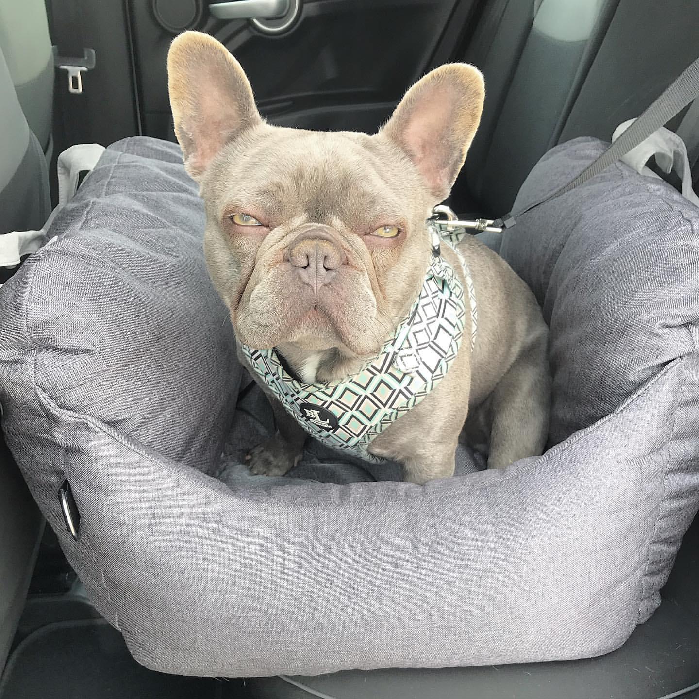 Pet Travel Bed - Puritific