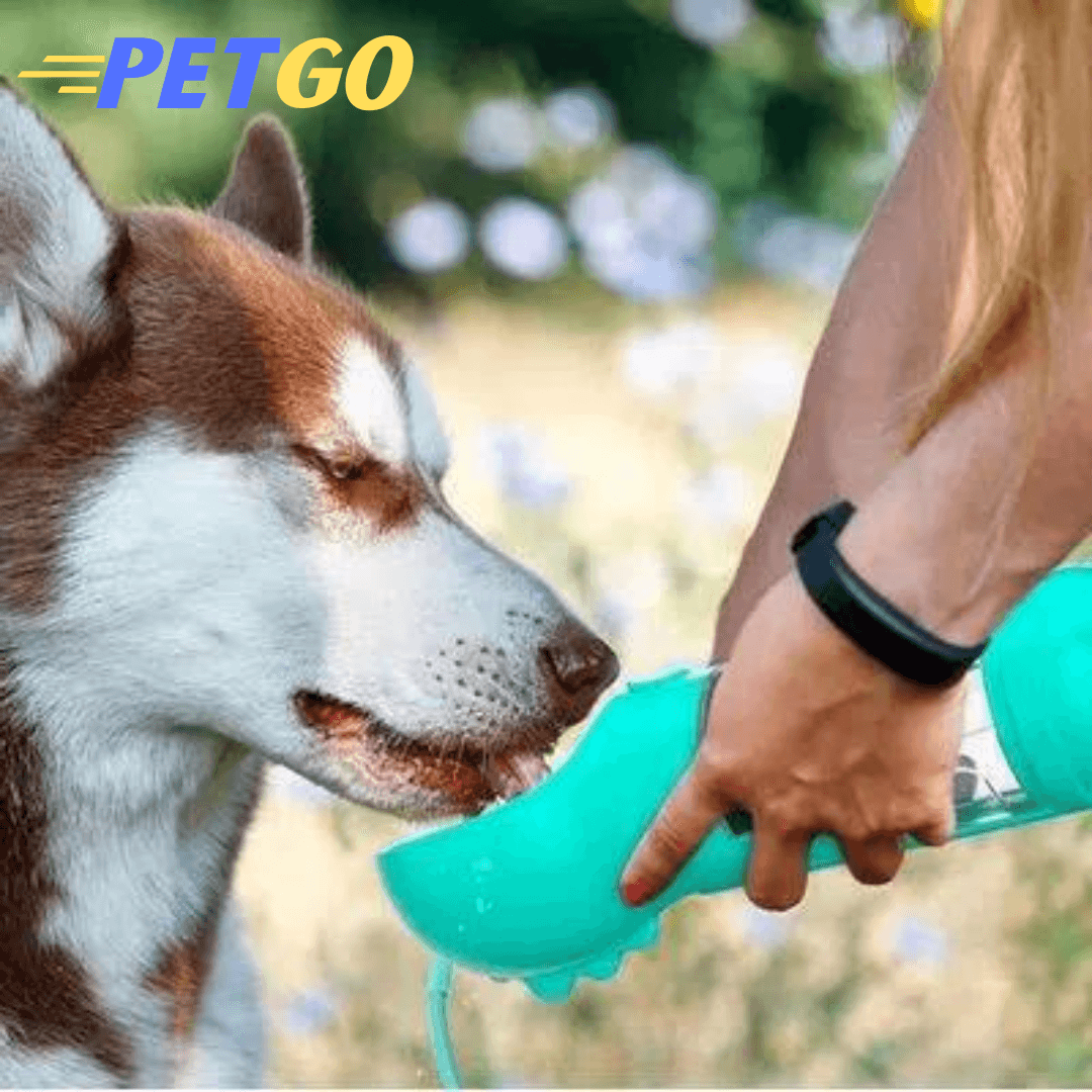 PetGo - Portable Water Bottle - Puritific