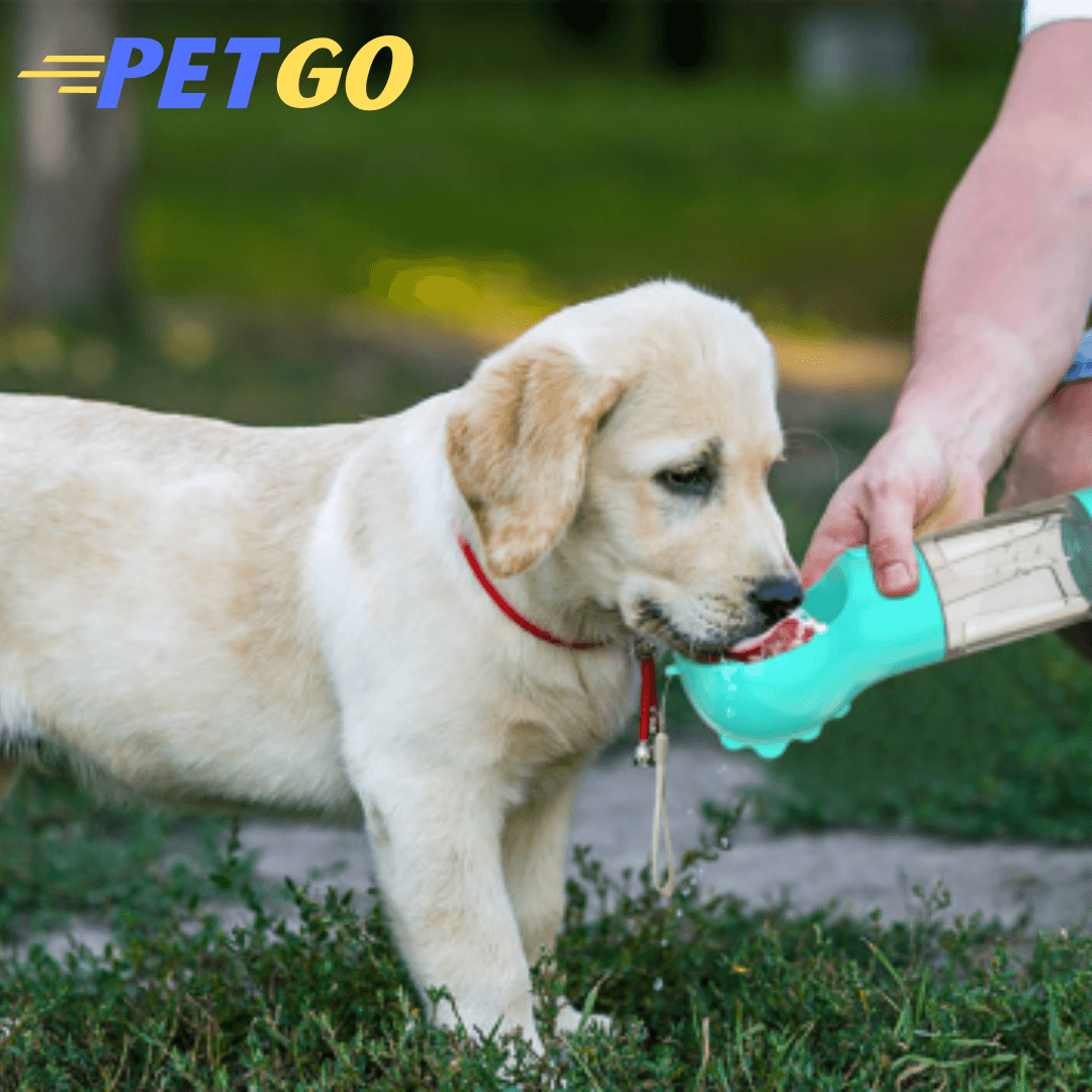 PetGo - Portable Water Bottle - Puritific