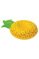 Pineapple Drink Floaties - Puritific