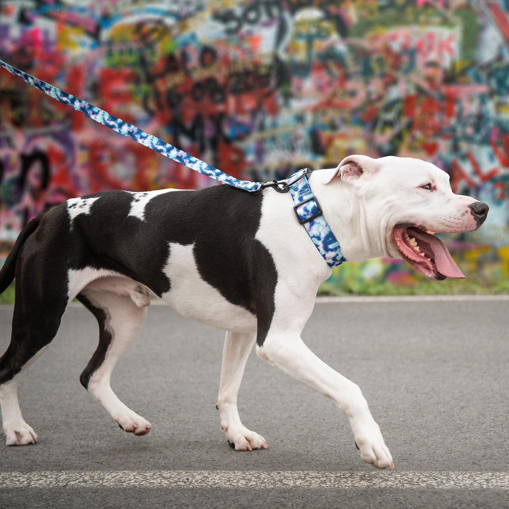 Printed Leash - Tie Dye - Puritific