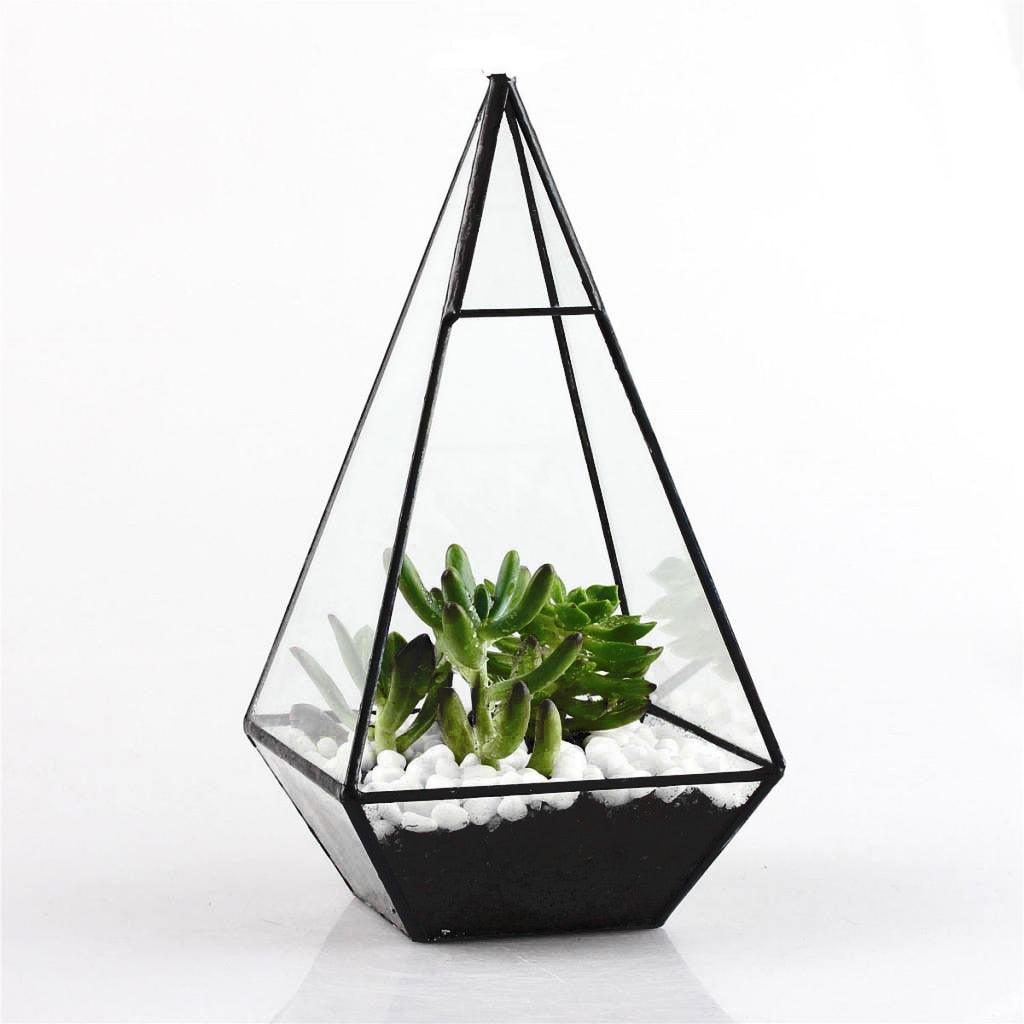 Pyramid Glass Terrarium - Puritific