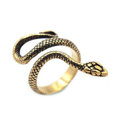 Retro Norse Mythology Men Ouroboros Ring - Puritific