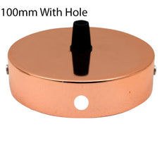 Rose Gold Wall Arm With 4m Plug in Pendant~1453-3