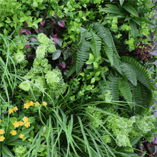 Sample Panel of Country Fern Artificial Vertical Garden (Small Sample) UV Resistant - Puritific