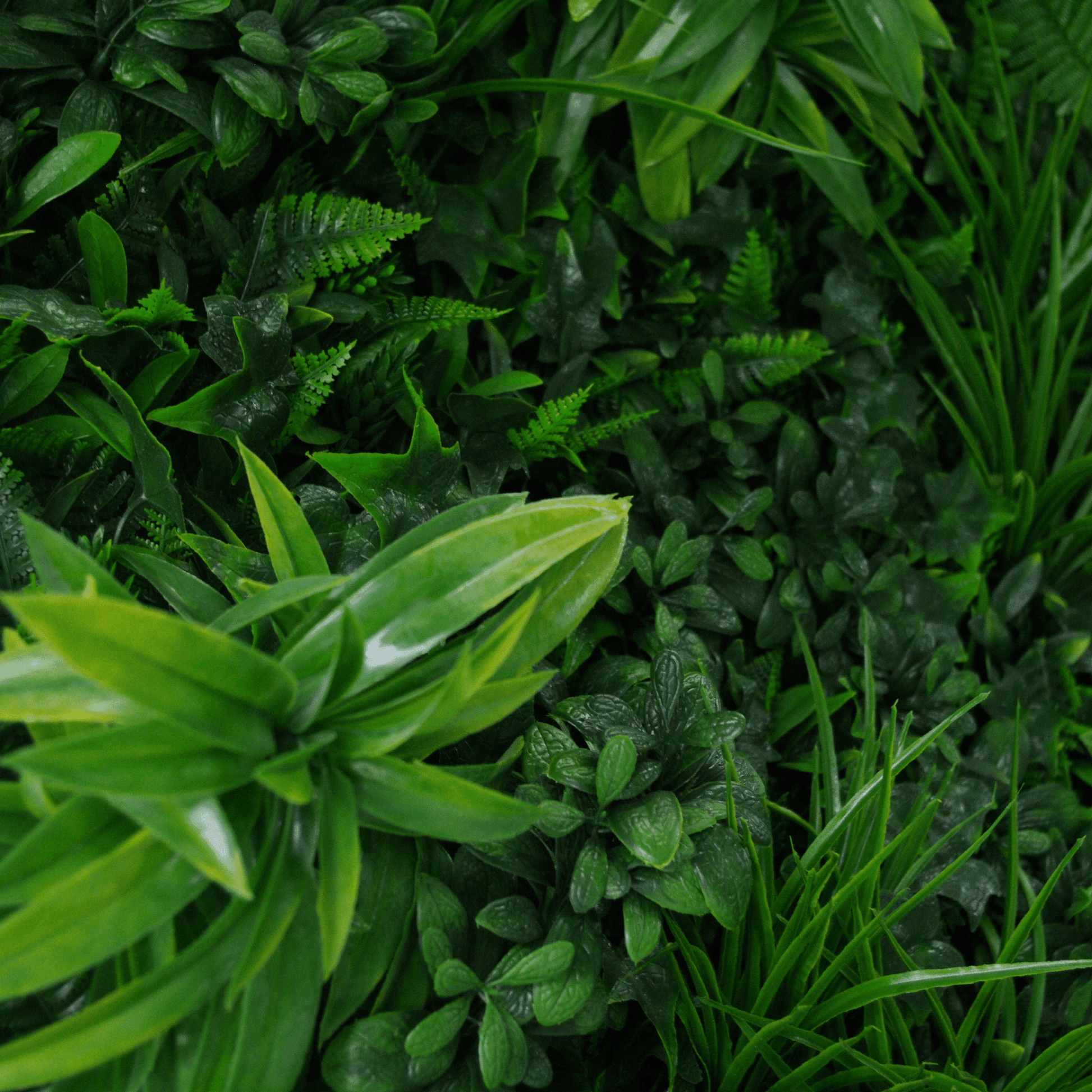 Sample Panel of Green Tropics Artificial Vertical Garden (Small Sample) UV Resistant - Puritific