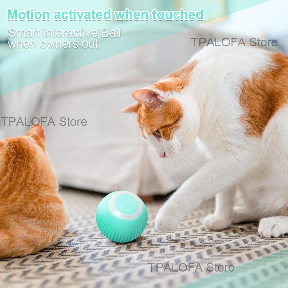 Self-moving Kitten Toys - Puritific