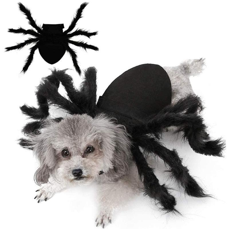 Spider Costume for Pets - Puritific