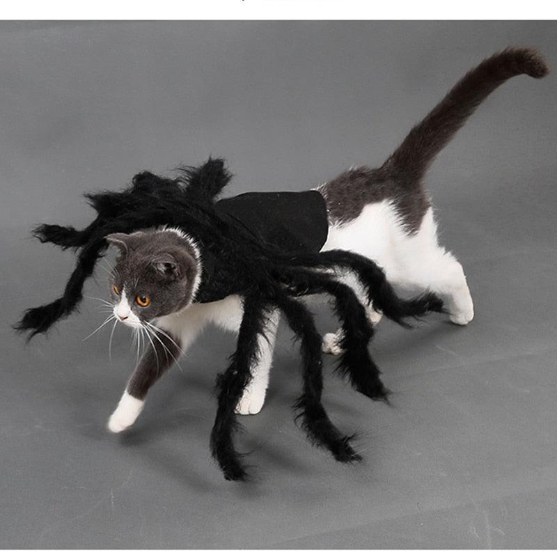 Spider Costume for Pets - Puritific