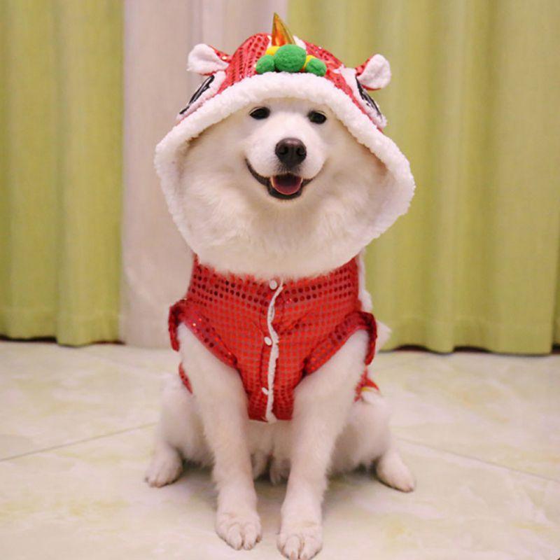 Spring Festival Dog Coat - Puritific