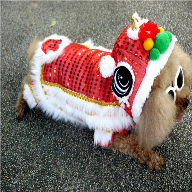 Spring Festival Dog Coat - Puritific