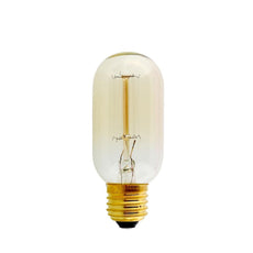 T45 E27 60W Dimmable Filament Dimmable Incandescent Bulb~3232-10