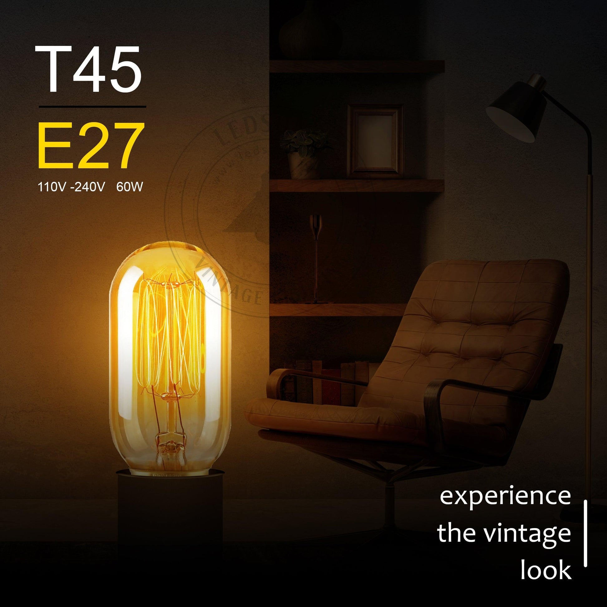 T45 E27 60W Dimmable Filament Dimmable Incandescent Bulb~3232-2