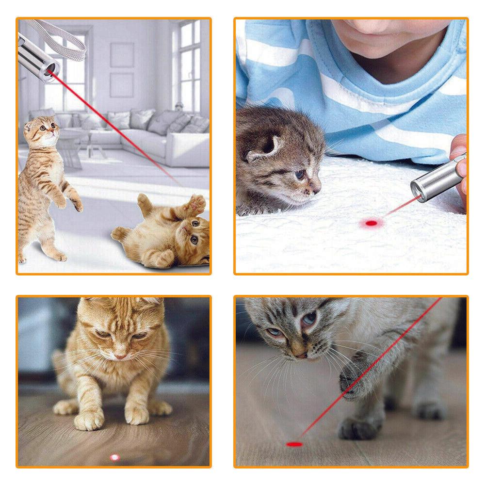 USB Rechargeable Cat Laser - Puritific