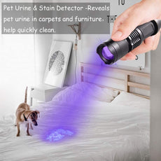 UV LED Flashlight - Puritific