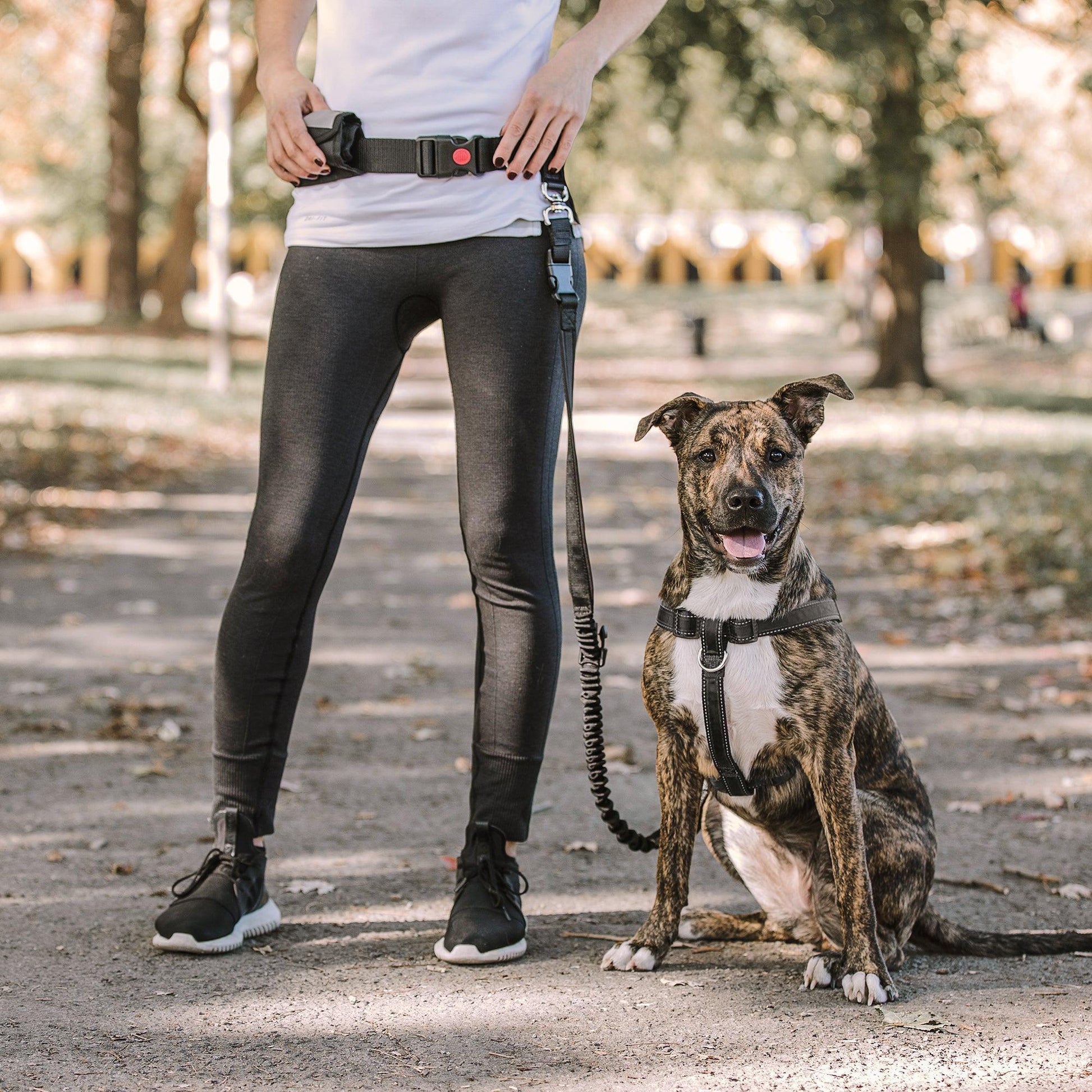 Waist Belt & Bungee Leash - Puritific