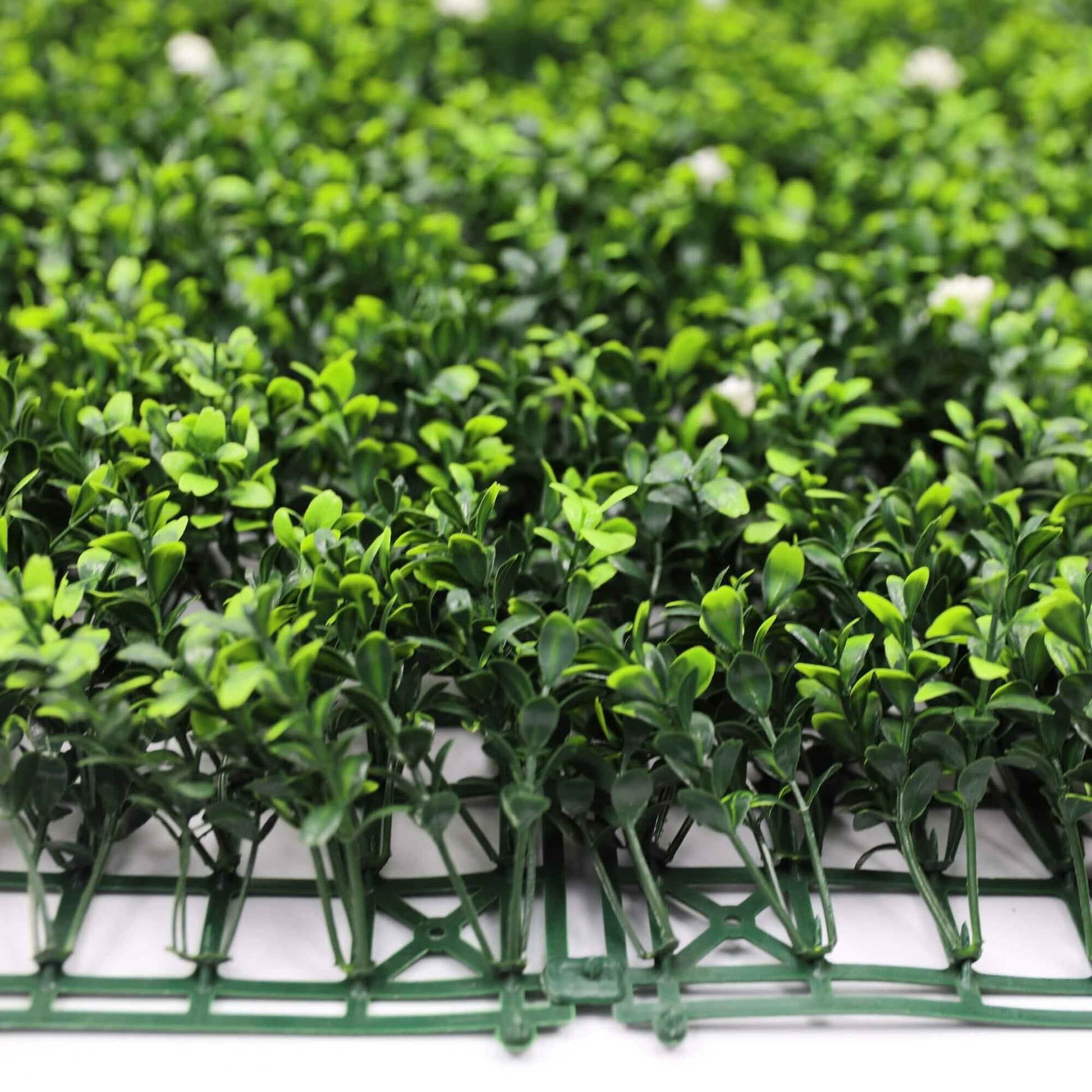 White Flowering Artificial Boxwood Wall 40" x 40" 11SQ FT - Puritific