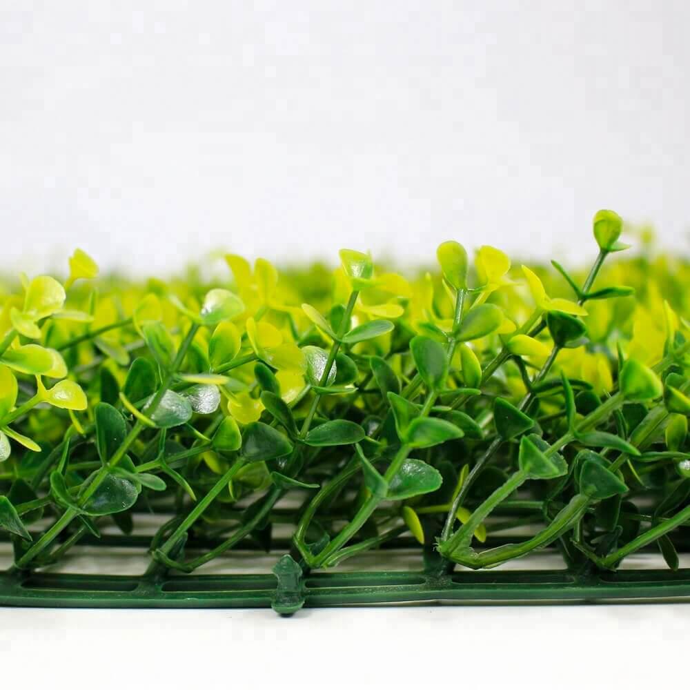 Yellow Buxus Green Wall 33 square foot UV Protected - Puritific