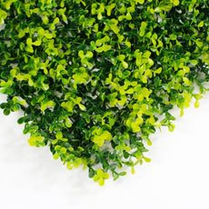 Yellow Buxus Green Wall 33 square foot UV Protected - Puritific