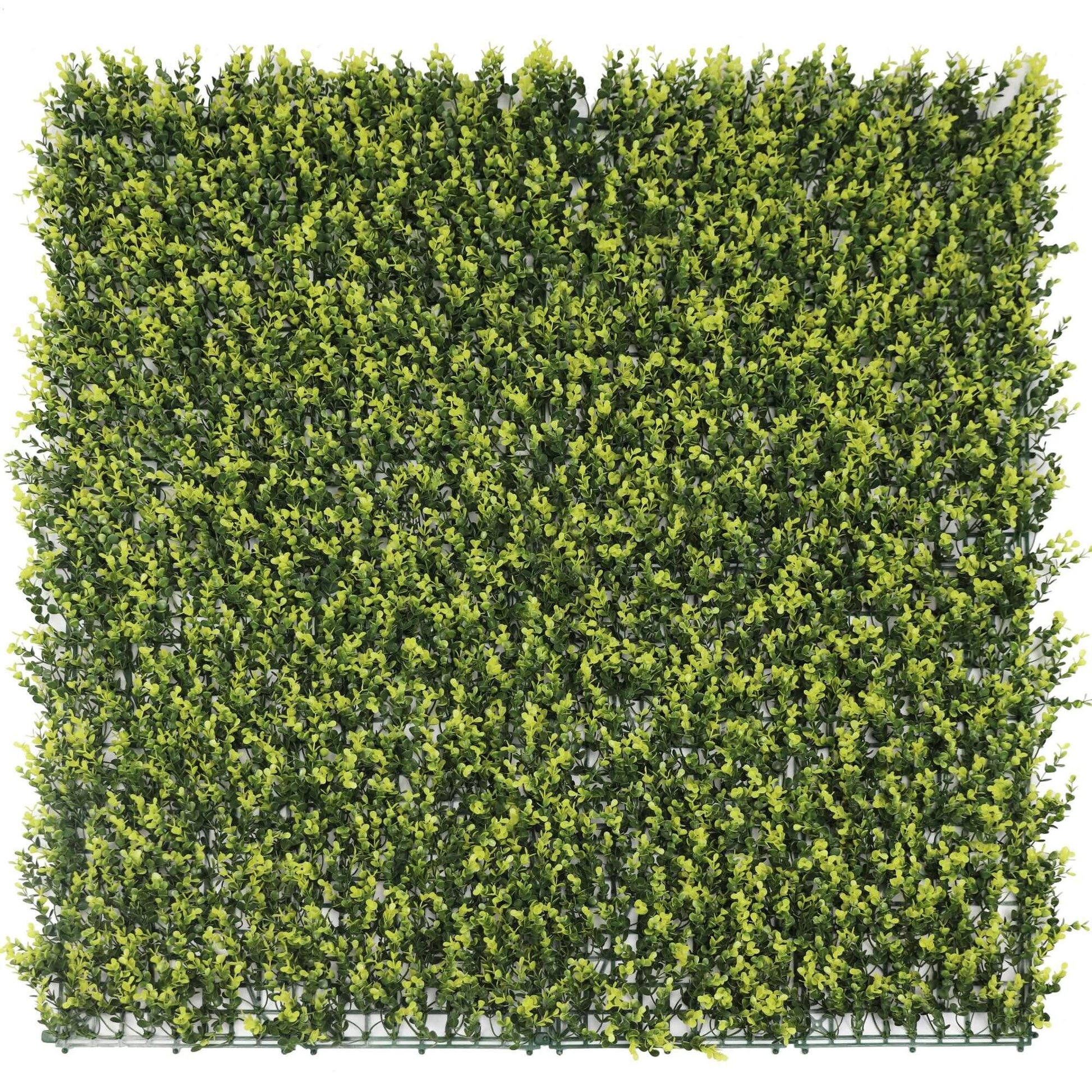 Yellow English Artificial Boxwood Wall 40" x 40" 11SQ FT UV Resistant - Puritific