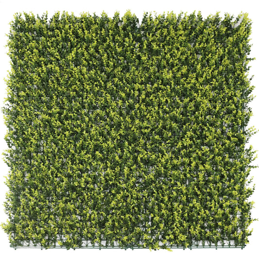 Yellow English Artificial Boxwood Wall 40" x 40" 11SQ FT UV Resistant - Puritific