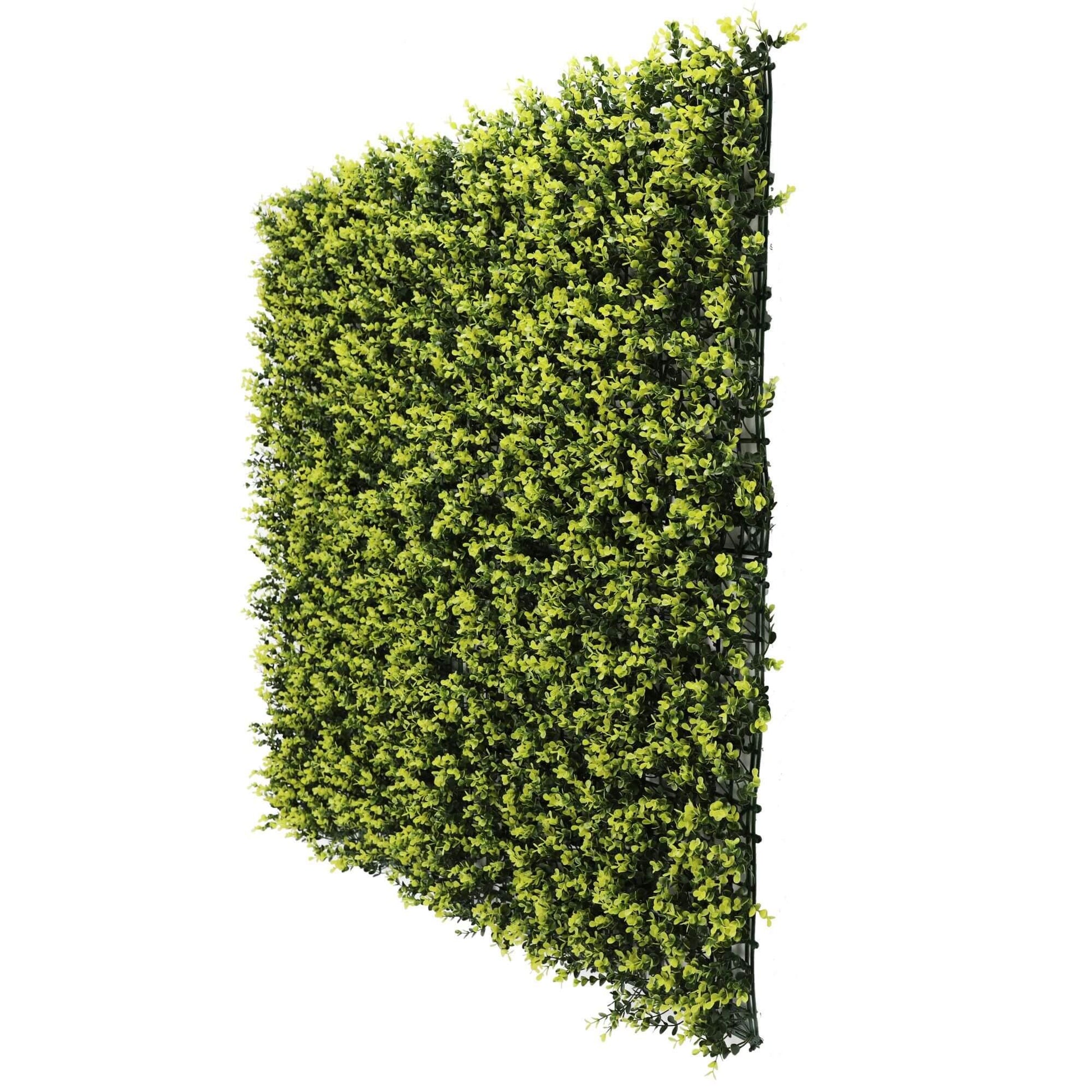 Yellow English Artificial Boxwood Wall 40" x 40" 11SQ FT UV Resistant - Puritific